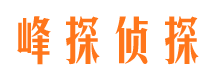 枝江侦探